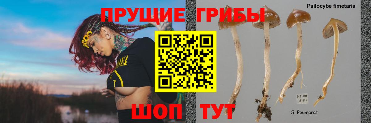 Псилоцибиновые грибы ЛСД  Вход с VPN  Сердобск 
